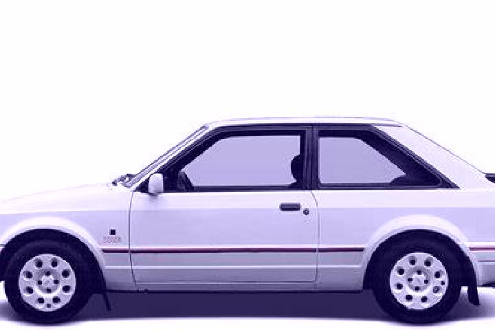 escort Mosgiel