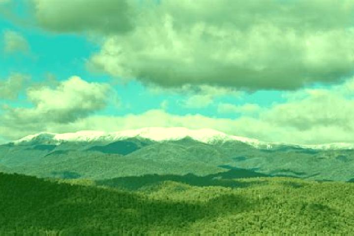 escort Mount Beauty