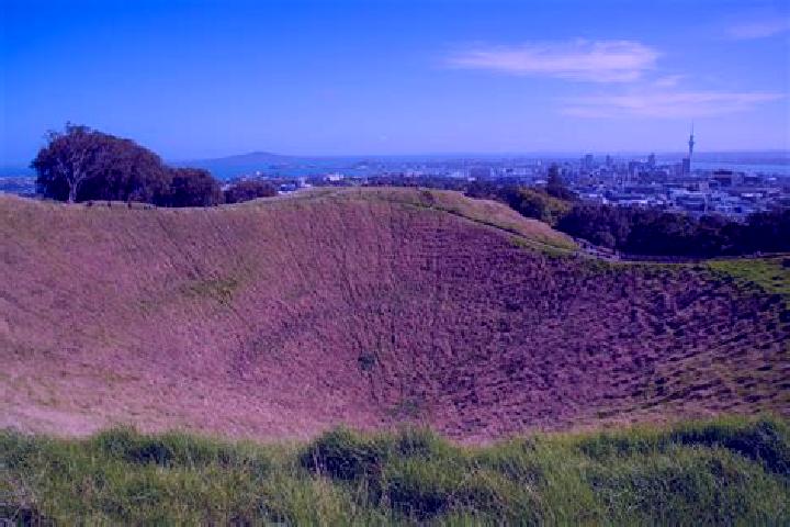 escort Mount Eden
