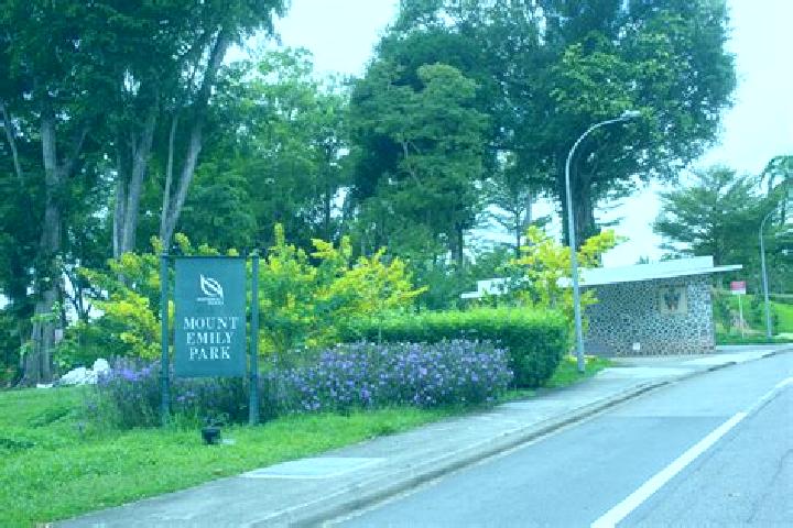 escort Mount Emily Park