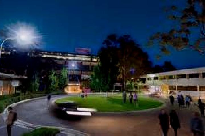 escort Mount Gravatt