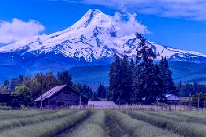 escort Mount Hood Village
