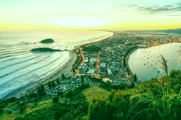 escort Mount Maunganui