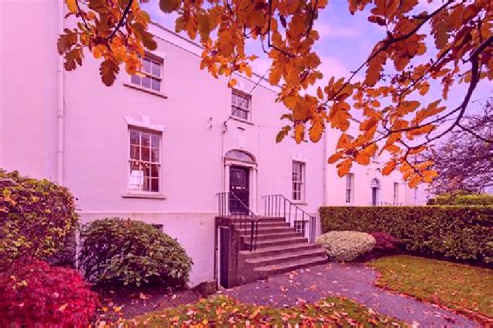 escort Mount Merrion