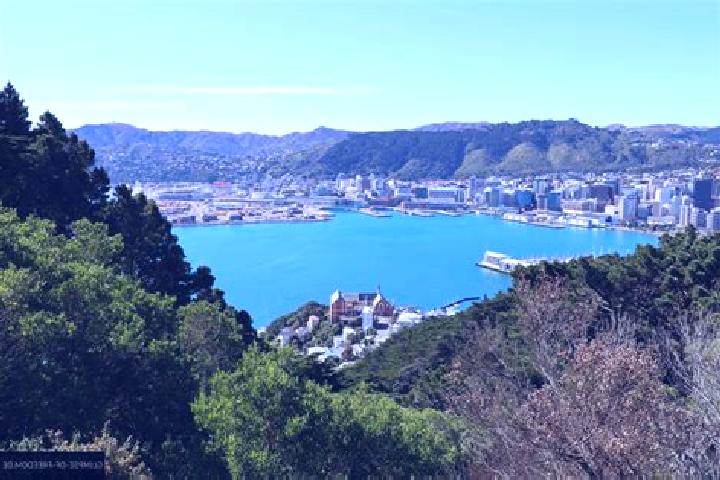 escort Mount Victoria