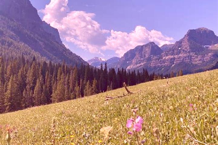 escort Mountain Meadows
