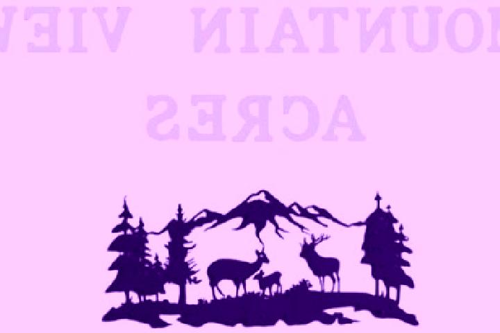escort Mountain View Acres