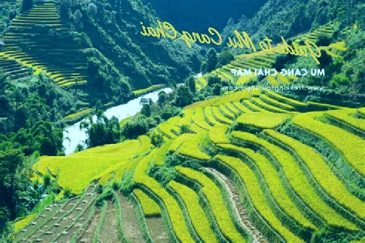 escort Mu Cang Chai