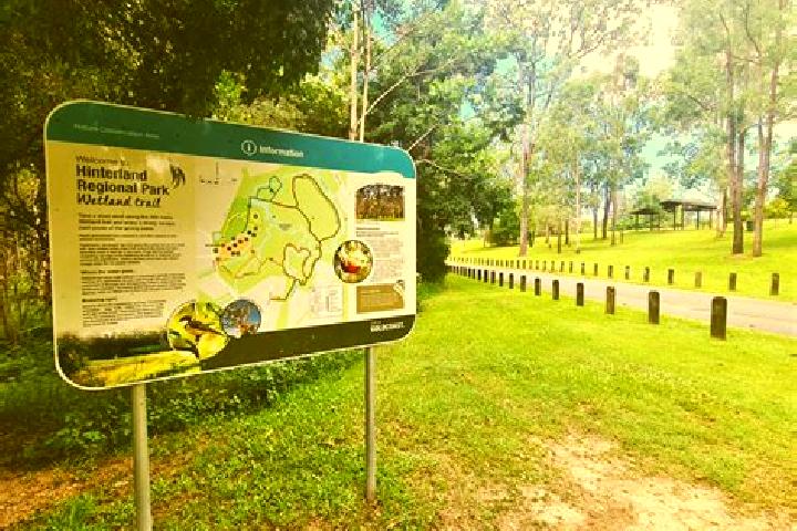 escort Mudgeeraba