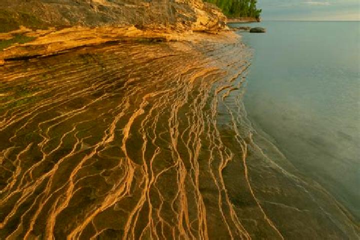 escort Munising