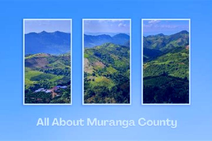 escort Murang a