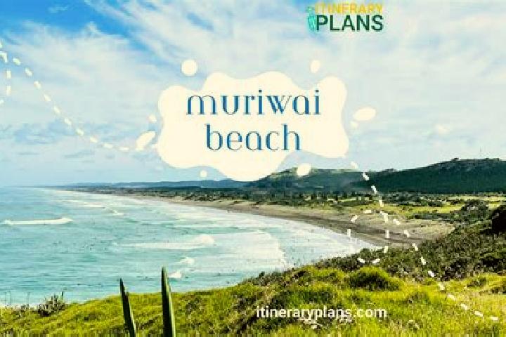 escort Muriwai Beach
