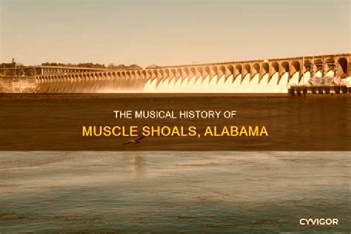 escort Muscle Shoals