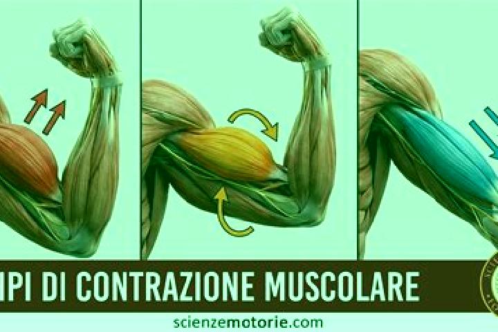 escort Muscoli