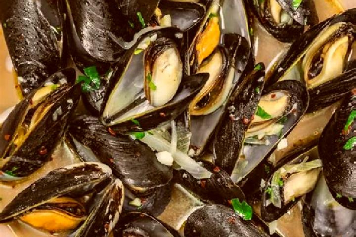 escort Mussel