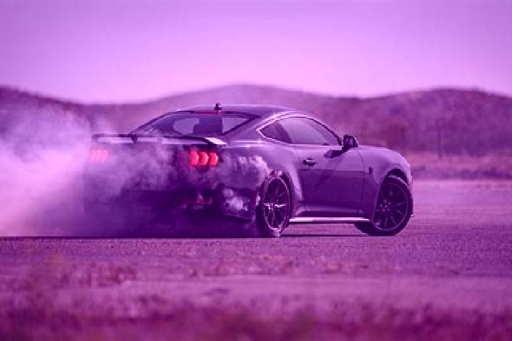 escort Mustang