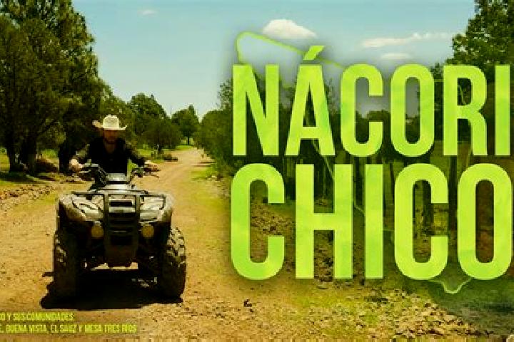 escort Nacori Chico