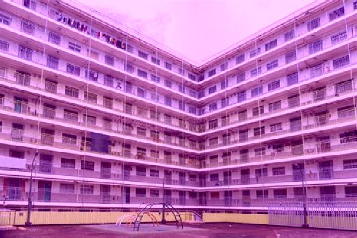 escort Nam Shan Estate