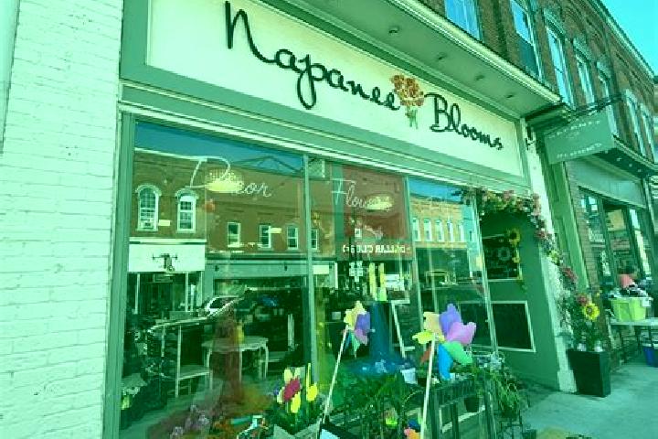 escort Napanee Downtown