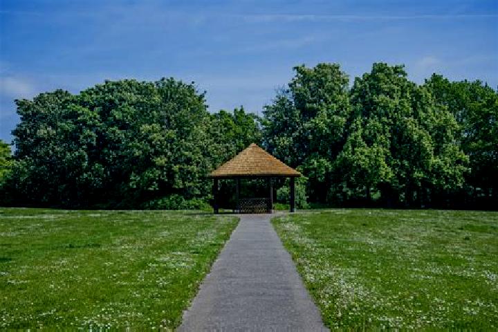 escort Napsbury Park