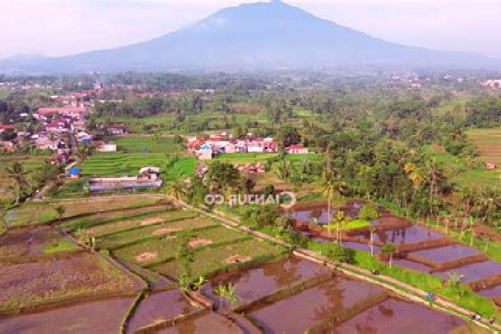 escort Naringgul