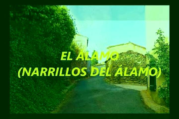 escort Narrillos del Alamo