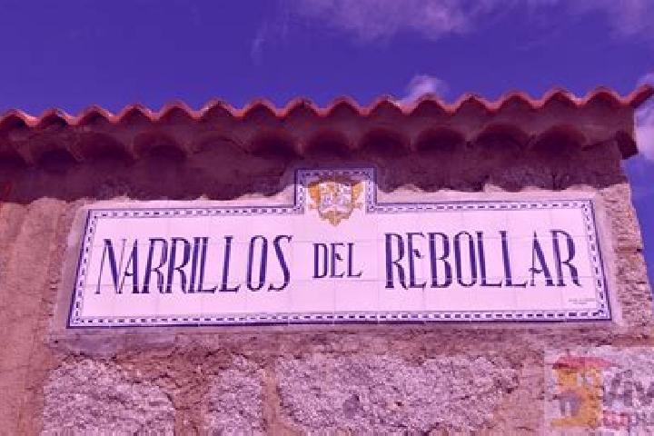 escort Narrillos del Rebollar