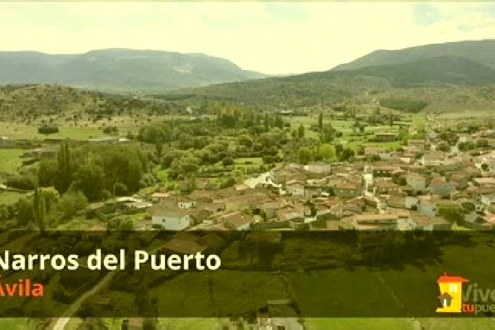 escort Narros del Puerto