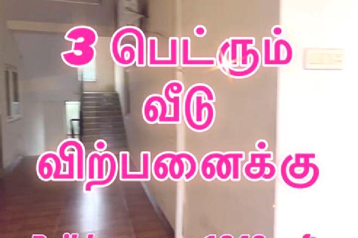 escort Nasiyanur