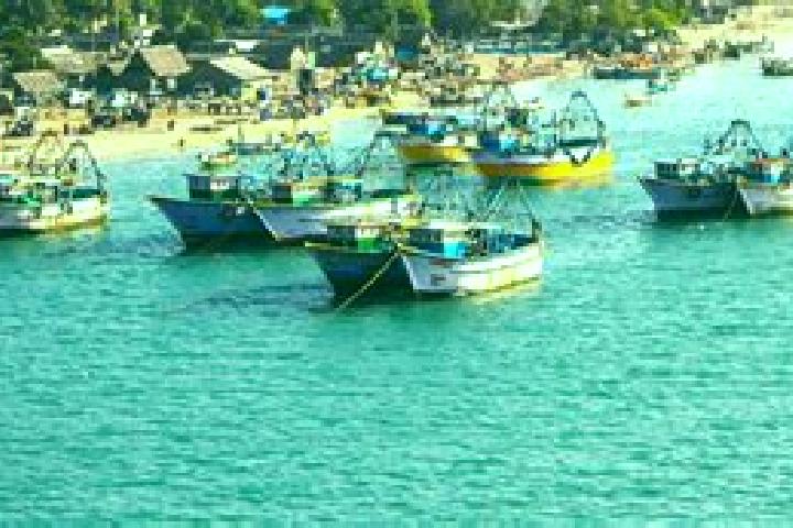 escort Nattarasankottai