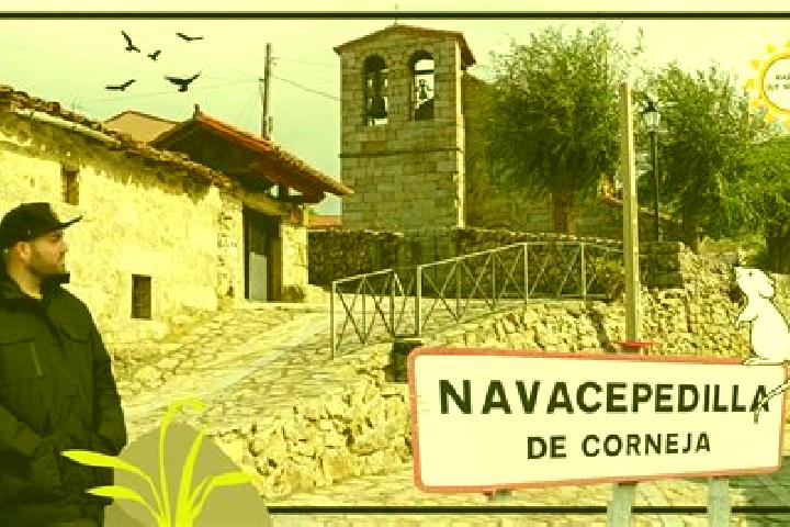 escort Navacepedilla de Corneja