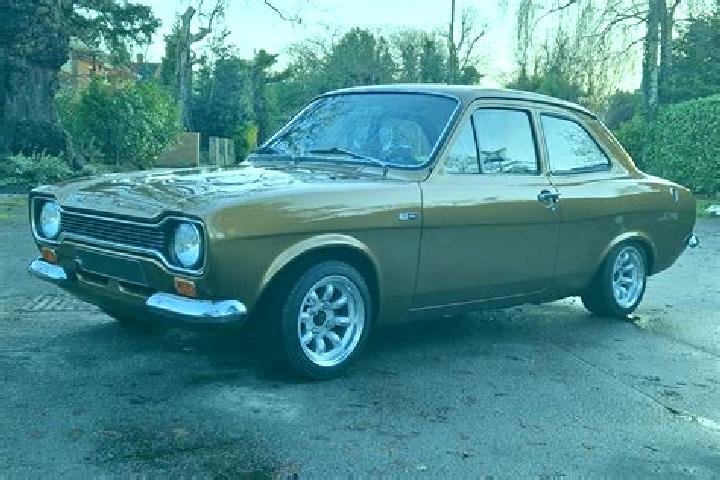 escort Nayland