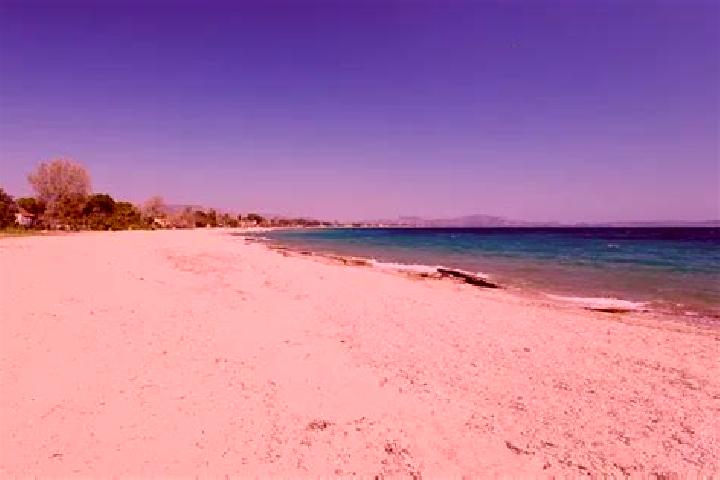 escort Nea Makri