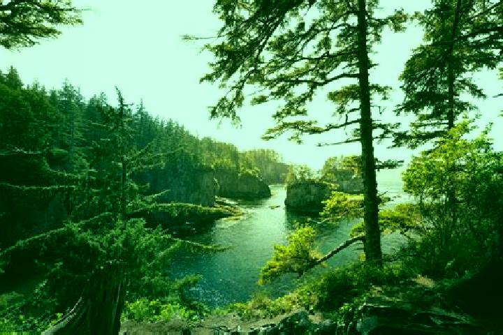 escort Neah Bay