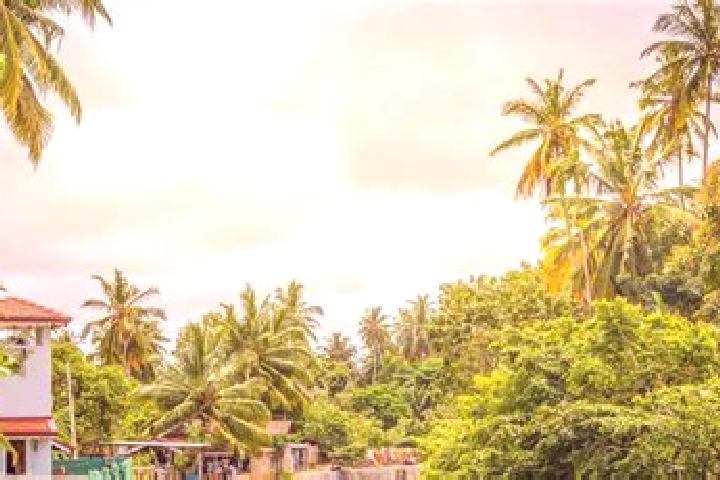 escort Negombo