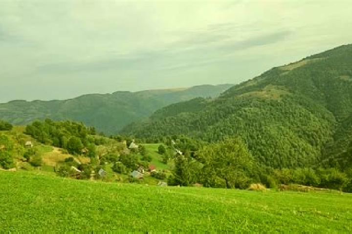 escort Negrenii de Sus