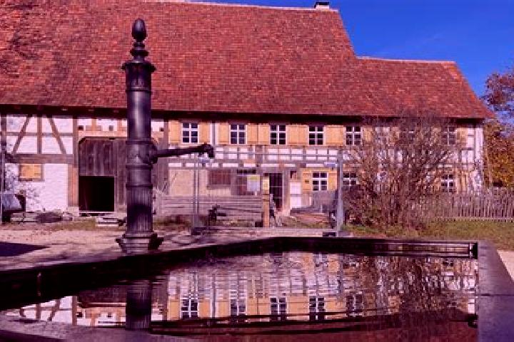 escort Neuhausen ob Eck