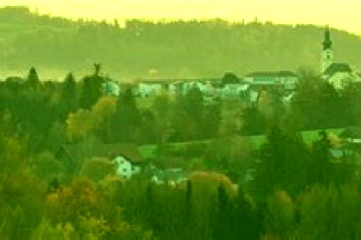 escort Neukirchen am Walde