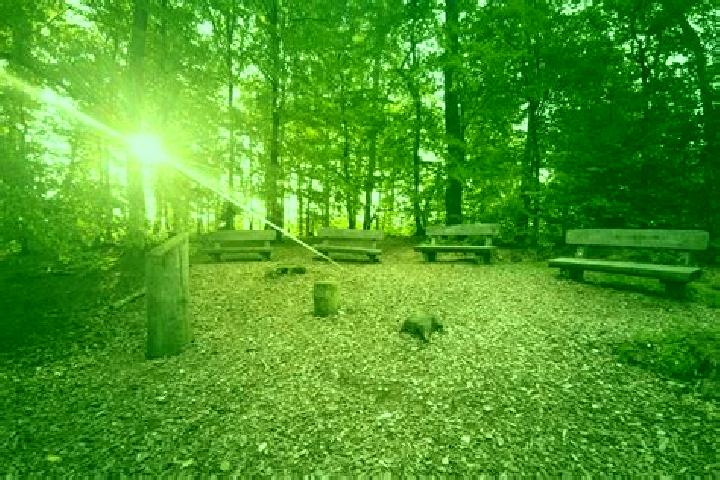 escort Neunburg vorm Wald