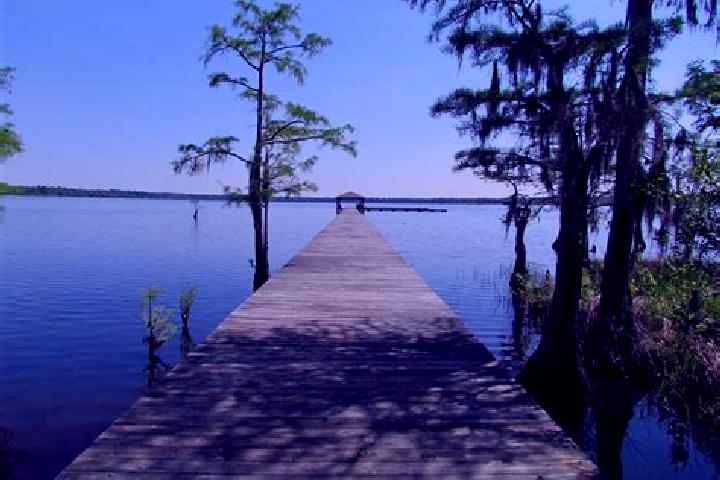 escort Neuse Forest