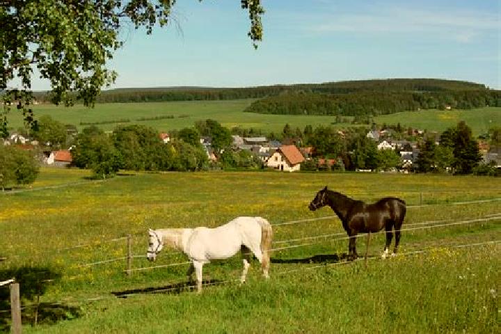 escort Neustadt Vogtland