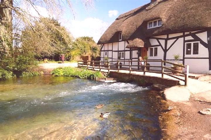 escort New Alresford