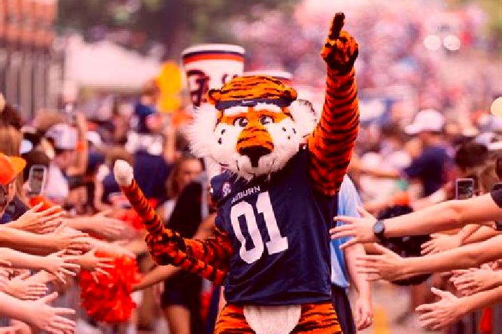 escort New Auburn