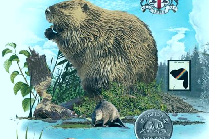 escort New Beaver