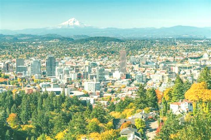 escort New Portland
