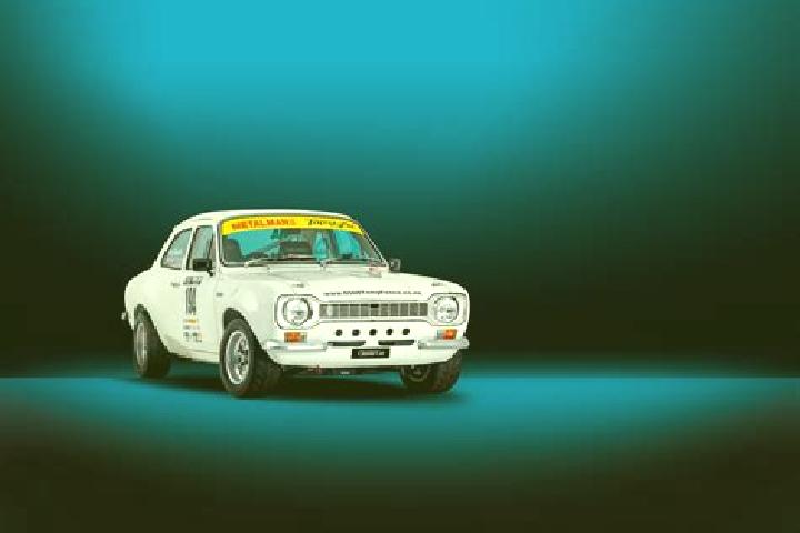 escort New Zealand