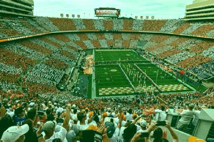 escort Neyland