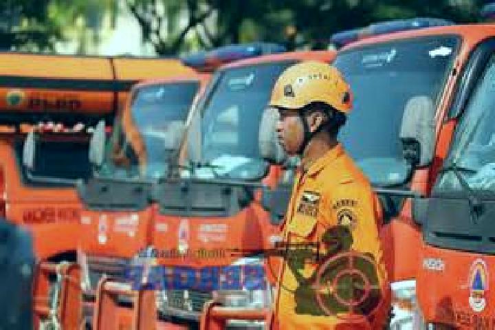 escort Nggongi Satu