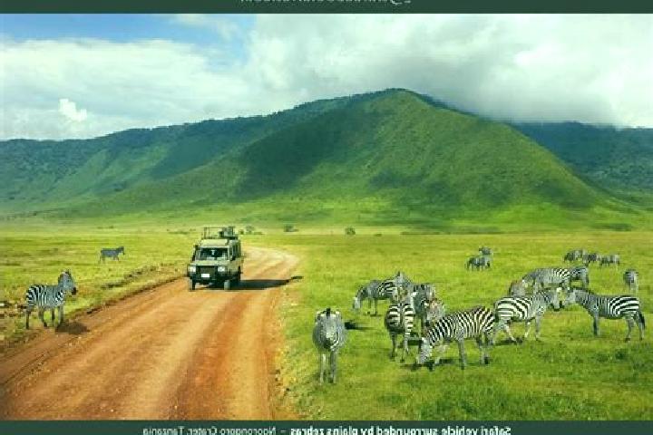 escort Ngorongoro