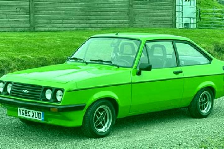 escort Nikitsch